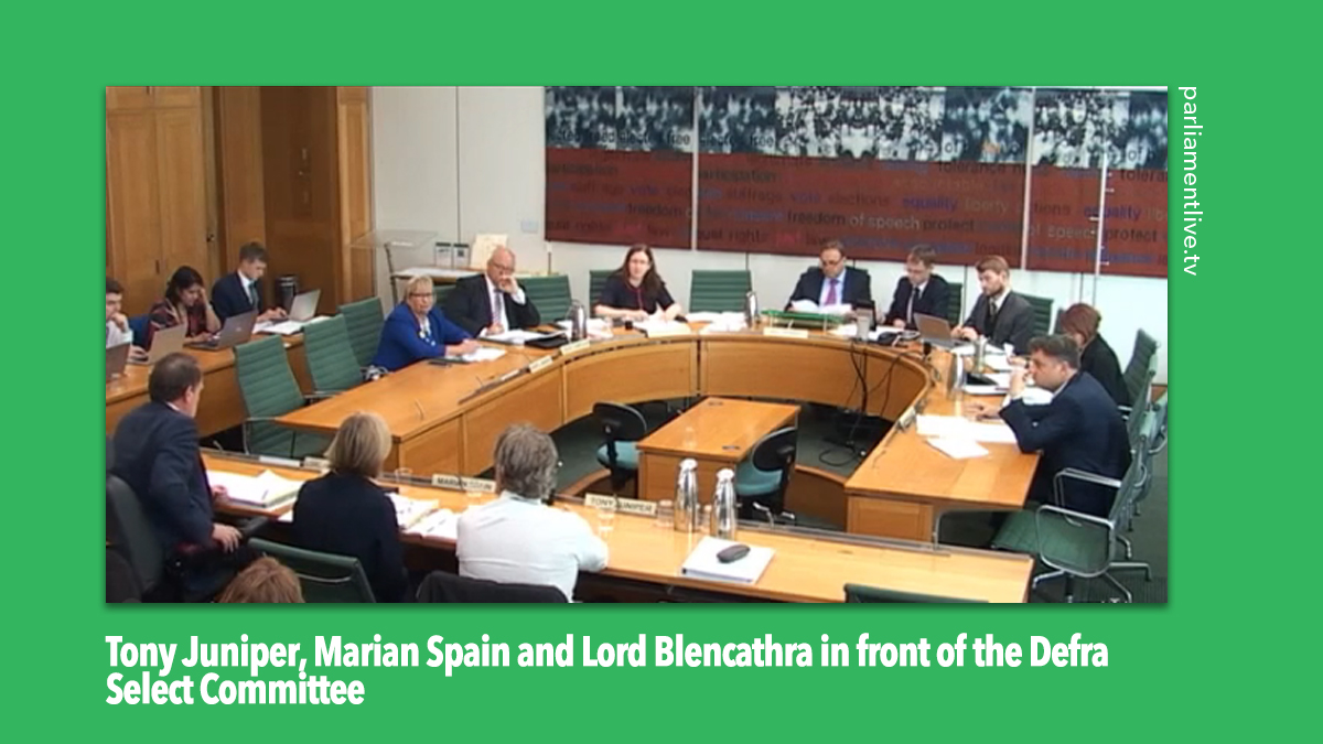 Natural England in front of Defra Select Committee Natural England in front of Defra Select Committee